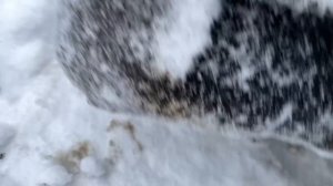 Мы сделали это с буханкой, потому что дальше ездить так было нельзя! Поставили на неё бак!