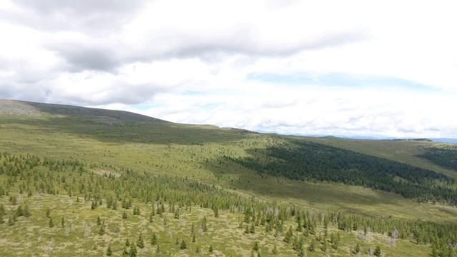 Фатима - Вовчик