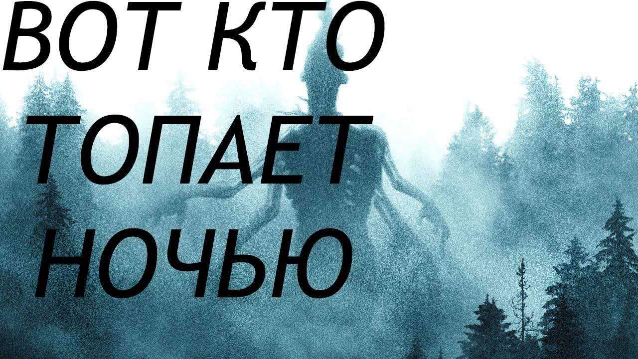 Sign of Silence №2 нашли тех кто топает