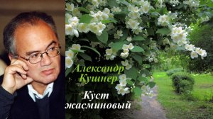 Куст жасминовый. Александр Кушнер. Инна Карлина Владимир Новоженин