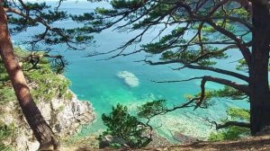 Приморский край. Хасанский район. Бухта Теляковского. Мыс Гамова