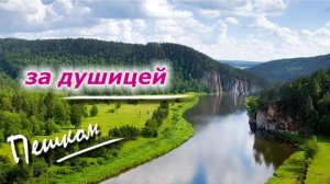 Кага Башкирия. Как я искал душицу в окрестностях турбазы Агидель. 15.07.2023