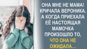 Ты заставляешь меня изображать из себя любящую мамашу. Кричала мама, а Вероника не могла поверить…