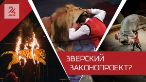 Животные в цирке: запретить или ужесточить требования