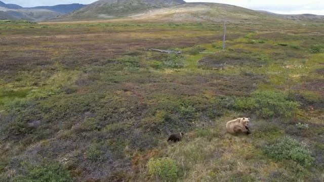 Чукотка-2024 смотреть онлайн