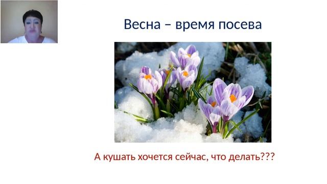 Сезонность в жизни  Сезонность в бизнесе