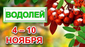 ♒ ВОДОЛЕЙ. 🍒 С 4 по 10 НОЯБРЯ 2024 г. 🎁