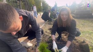 Более ста деревьев и кустарников высадили сегодня в Керчи