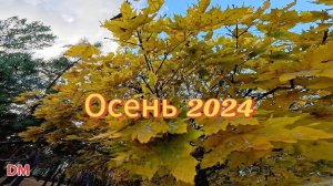 Осень 2024. Парк "Танаис" г. Воронеж