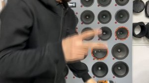 Лучшие эстрадные овалы в в заднюю полку? DL Audio Barracuda 69