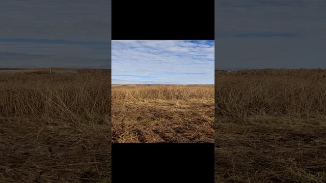Прекрасный осенний день. 29.10.24