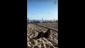 А вам слабо