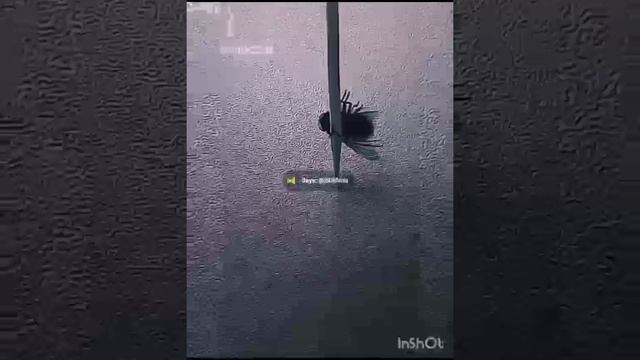 Попробуйте не засмеяться 🤣