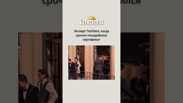 💪Эксперт TechSert, когда срочно понадобились документы!