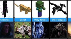 Real life Minecraft mobs Comparison