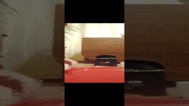 червяки 🪱