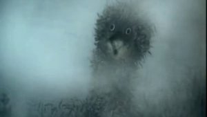 Ёжик в затумане.mp4