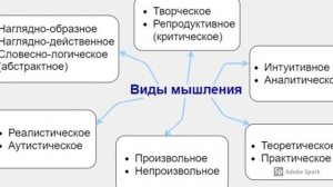 Виды мышления в психологии