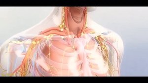 БЭМ В СПОРТЕ