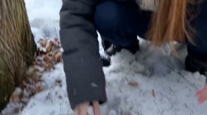 Экстремальные прятки в лесу против снайпера!