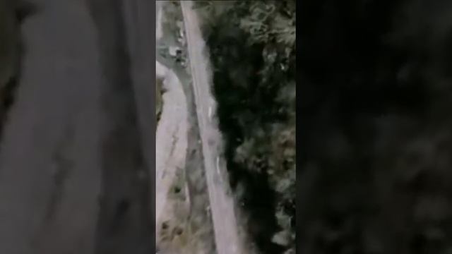 Сочи. Скайпарк.