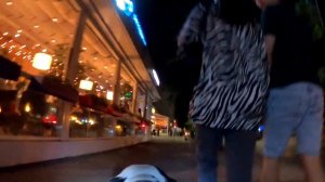 Собака из отеля с #gopro на прогулке по вечернему Краснодару.