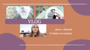 VLOG День с Викой🐈 Съёмка на камеру📸