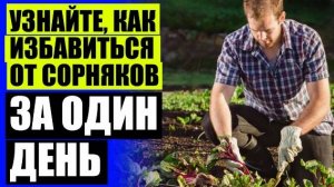 Купить средство биогард ❌ Какими гербицидами бороться с горчаком