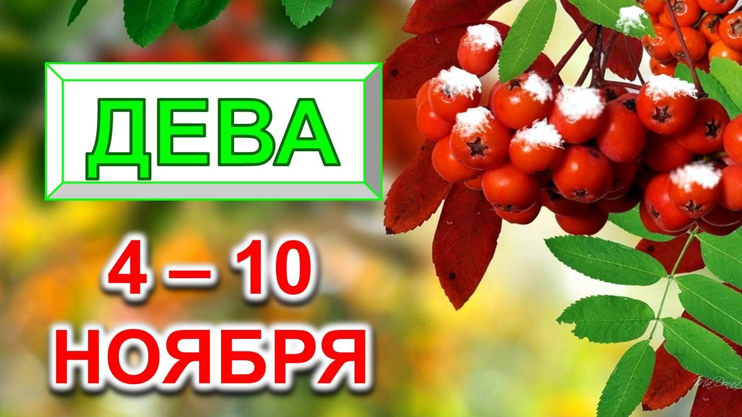 ♍ ДЕВА. 🍒 С 4 по 10 НОЯБРЯ 2024 г. 🎁