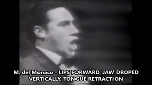 TONGUE RETRACTION, LIPS FORWARD, VIBRATO PULSATIONS etc.