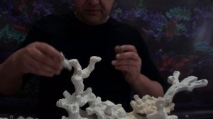 Линейка тюнинга декорации "ВЕТОЧКИ" от  Qudvin .