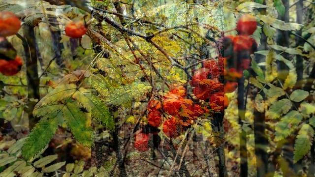 Глаголы сентября смотреть онлайн