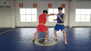 Sanda Basic Techniques_ Defense Basics-3