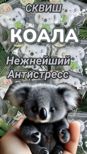 СКВИШ КОАЛА 🐨САМЫЙ НЕЖНЫЙ 🥰И ПРЕКРАСНЫЙ 💖