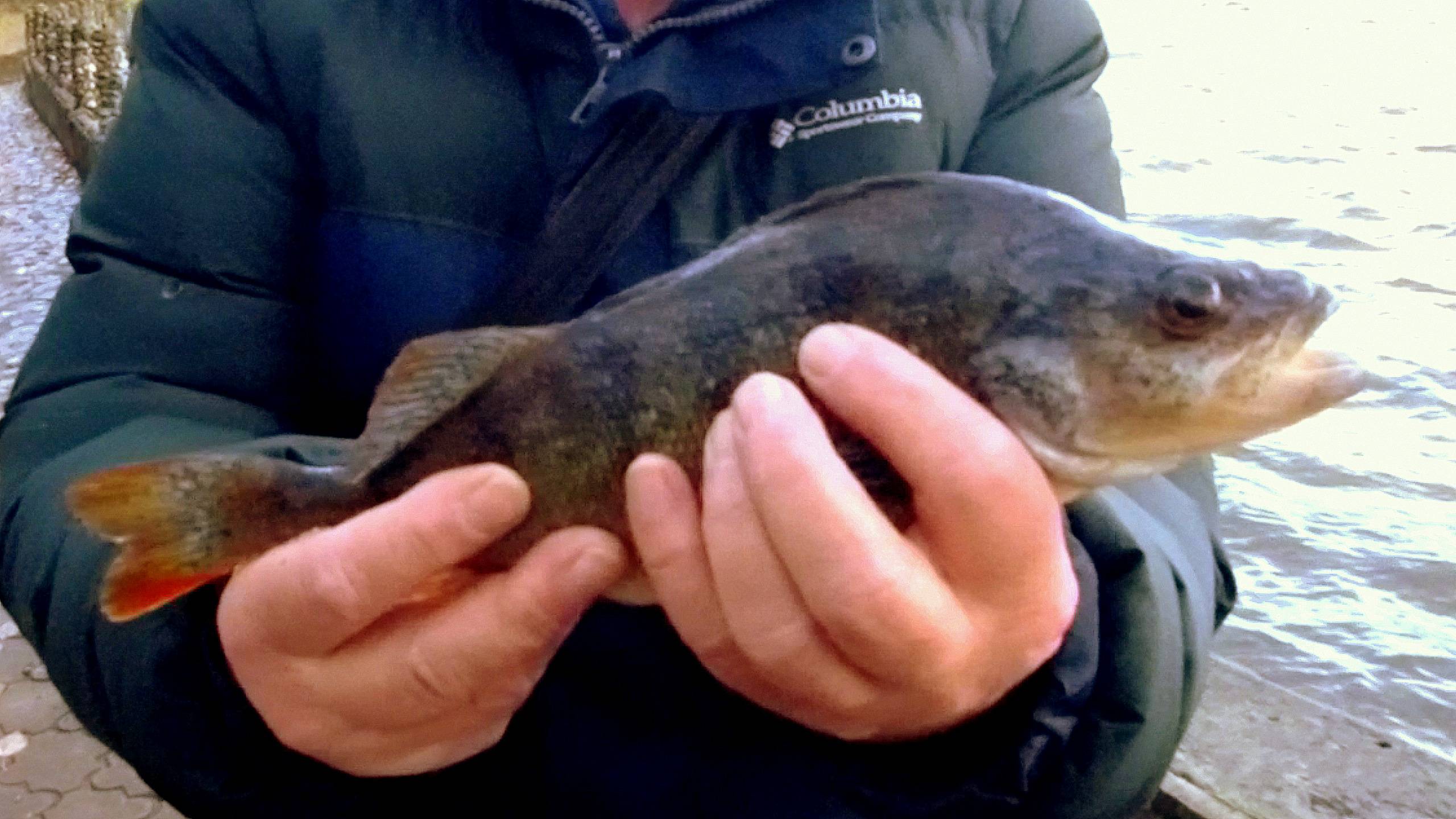 Рыбалка Химкинское водохранилище. 02.11.2024