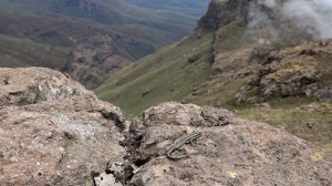 Drakensberg ЮАР и вокруг.
