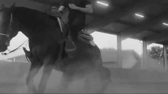 О кобылах ... или "о кобылах"? :-D смотреть онлайн