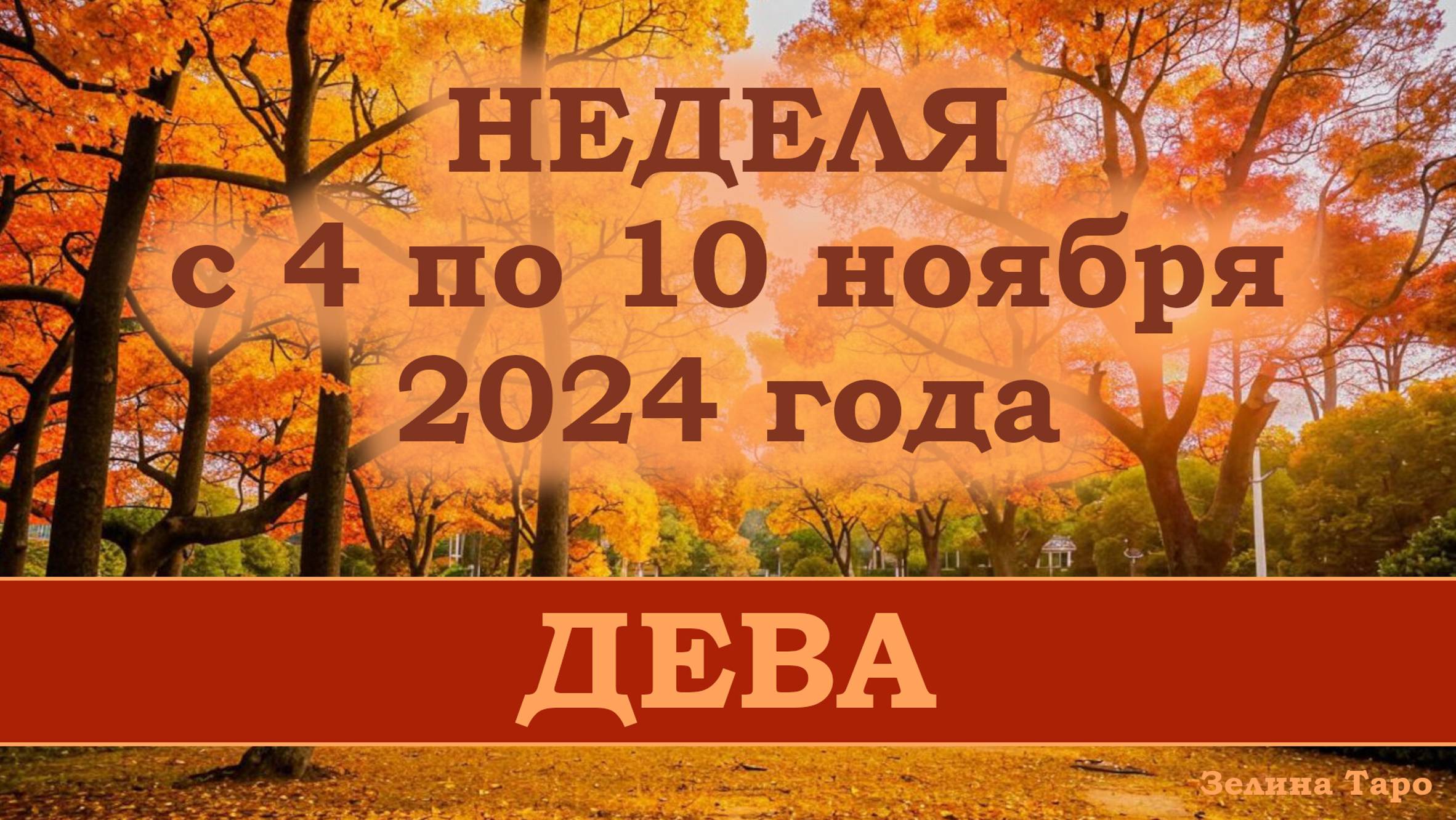 ДЕВА | Таро прогноз на неделю с 4 по 10 ноября 2024 года