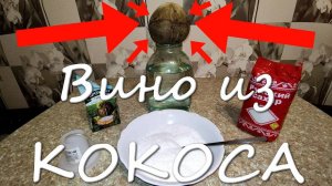 Как Просто Сделать Домашнее Белое Вино Из КОКОСА!