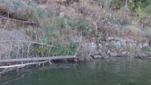 Первые осенние заморозки, Нашёл окуня и давай долбить.