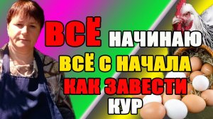 ВСЁ, начинаю всё с начало. Как избежать ОШИБОК при выборе кур, построении курятника...