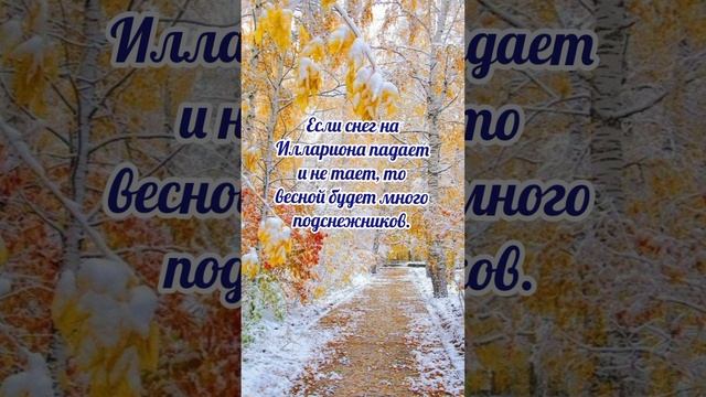3 ноября# Илларионов день# приметы и обычаи