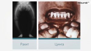 22  Как мы живем и работаем в нашем климате