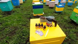 ОБРАБОТКА ПЧЁЛ ДЫМ ПУШКОЙ.