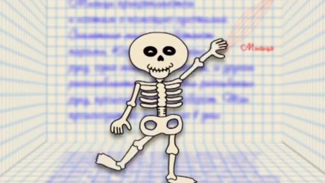 Анатомия человека для детей