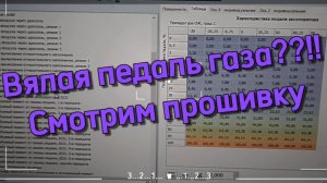 Чип-тюнинг  и Прошивка Эбу. Педаль газа