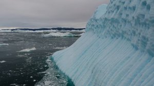 8318611-uhd_2560_1440_25fps