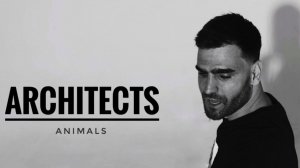 Architects - Animals | Drum cover