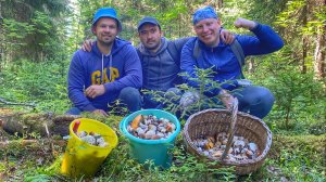 Белые грибы на каждом шагу | Тихая охота с друзьями | Июль 2020