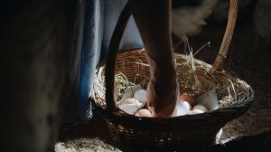 4911913-uhd_4096_2160_25fps